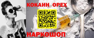 крисы Дубна